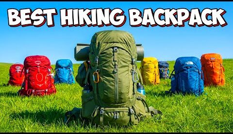 8 Best Hiking Backpacks In 2026 That You Should Consider